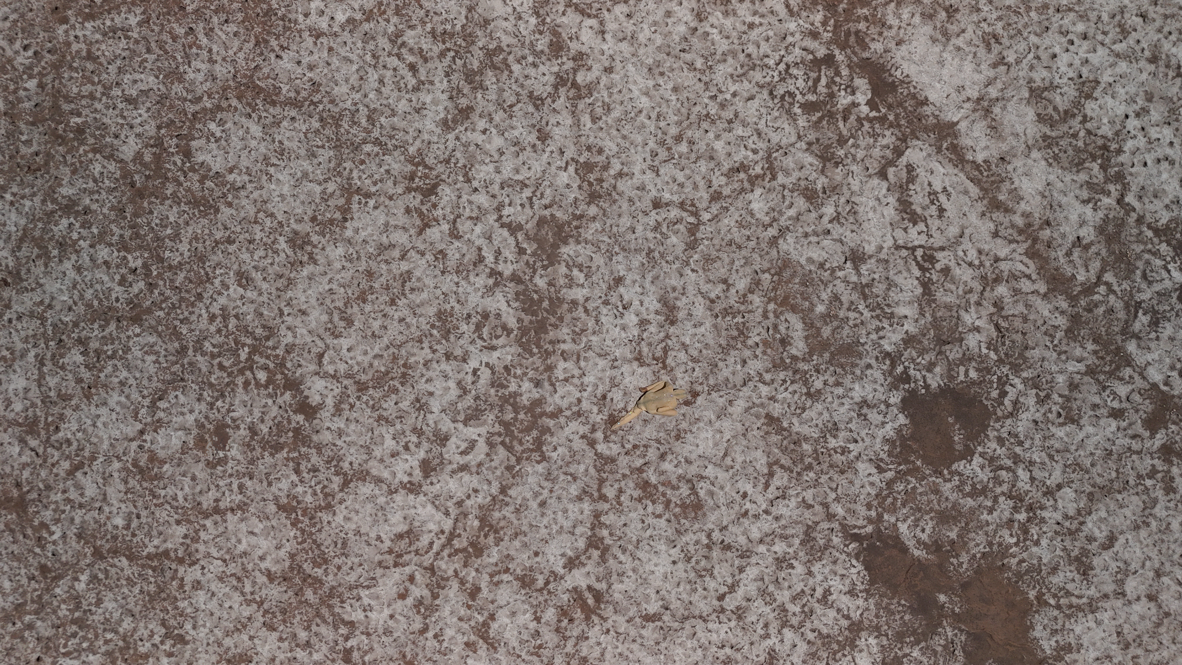 Art residency at SACO, Antofagasta,
                                    San Pedro de Atacama, Chile, 2024